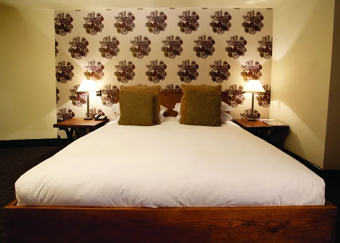 布里斯托杜文酒店 4*