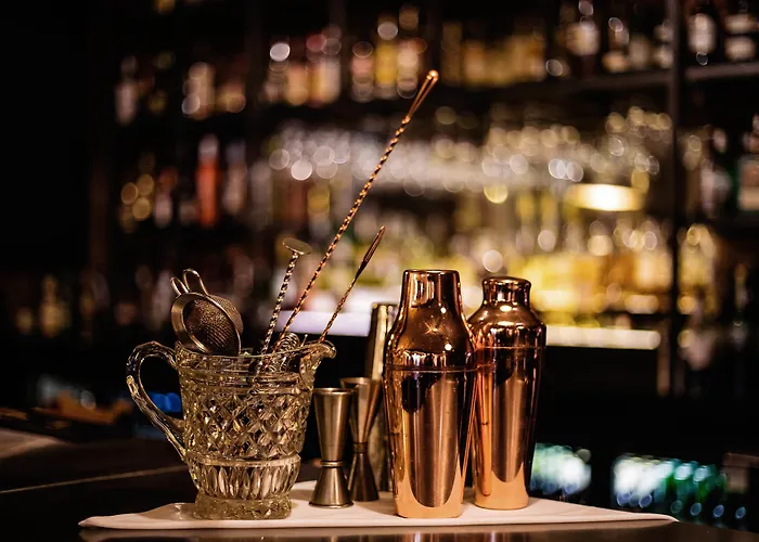 酒店 布里斯托杜文酒店